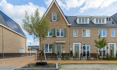 Anjertuin Anjertuin