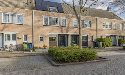 Okapistraat Okapistraat