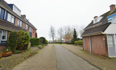 Schapenmeent Schapenmeent
